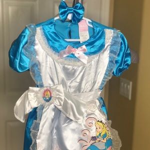 Alice in Wonderland Halloween Costume